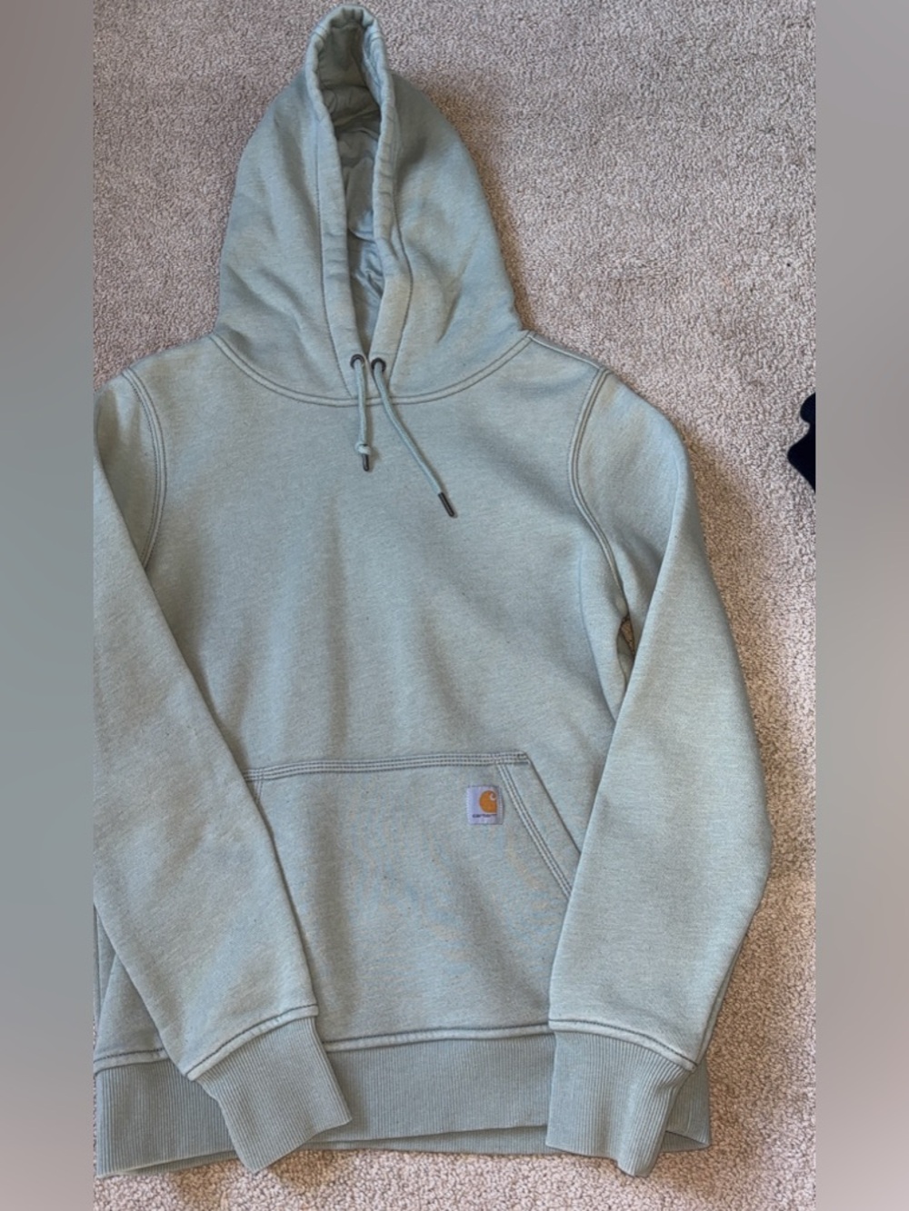 Carhartt Sage Green Hooded Sweatshirt